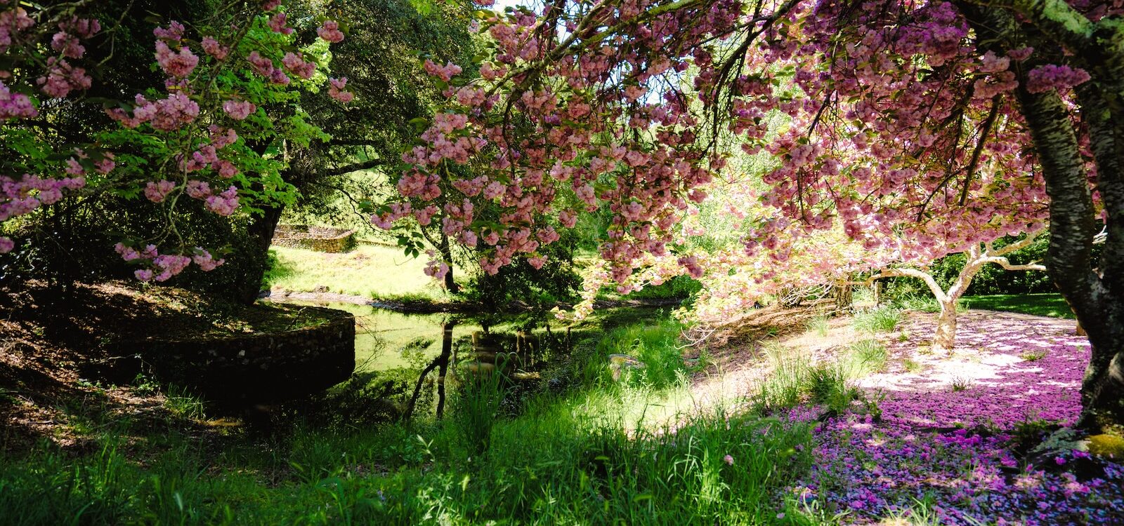SkywalkerRanch-GG.Apr2025.00084 (1)