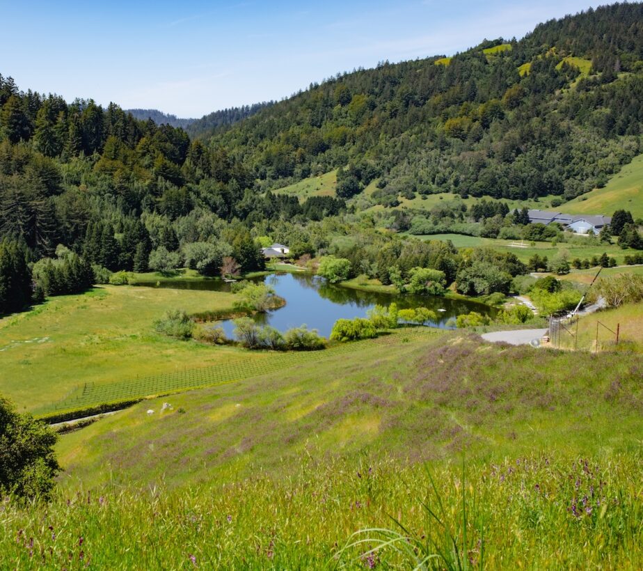 SkywalkerRanch-GG.Apr2025.2190