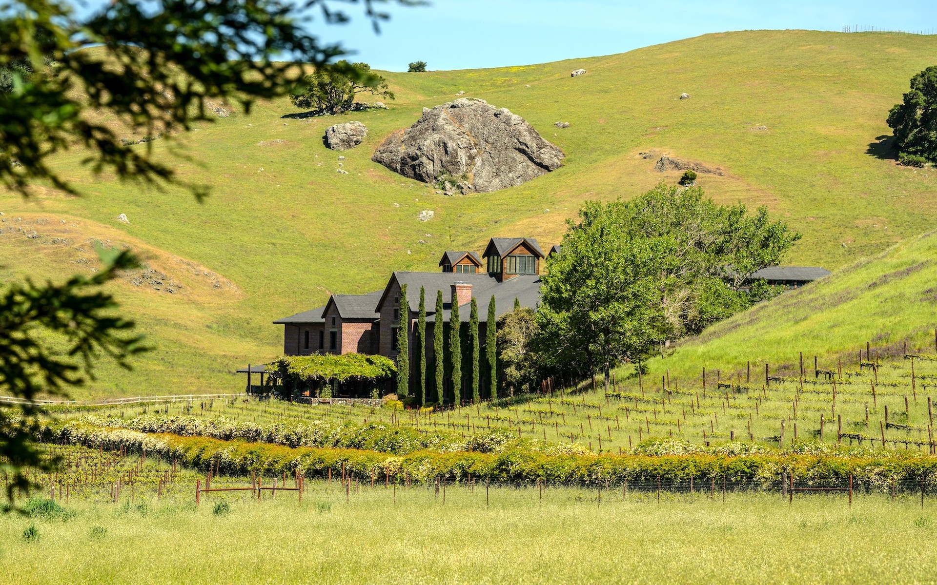 The Technical Building at Skywalker Ranch, seen behind acreage of Skywalker Vineyards.